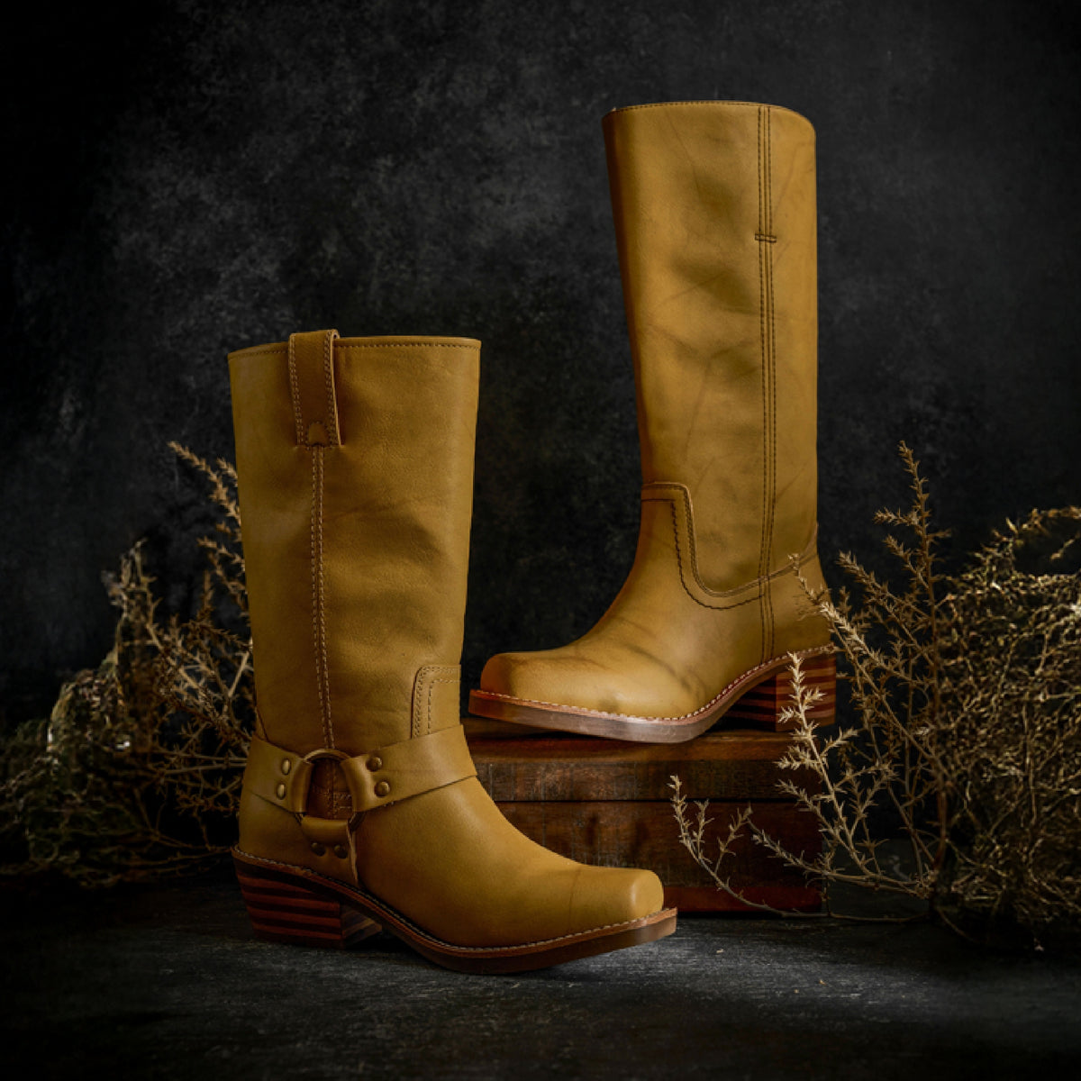 Frye Co Roxy Explore – Frye & Co
