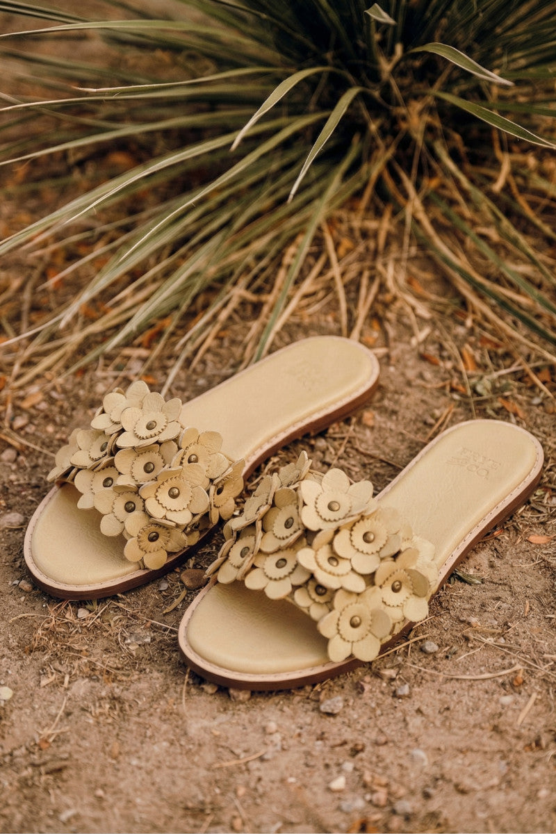 Bucky Flower Slide - Butter - Outside