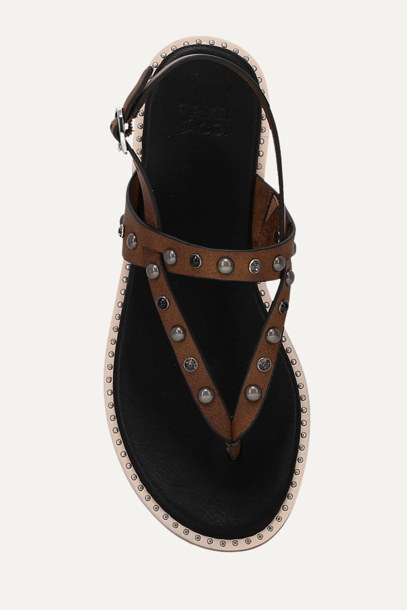 Bucky Studded Thong - Acorn - Top Down