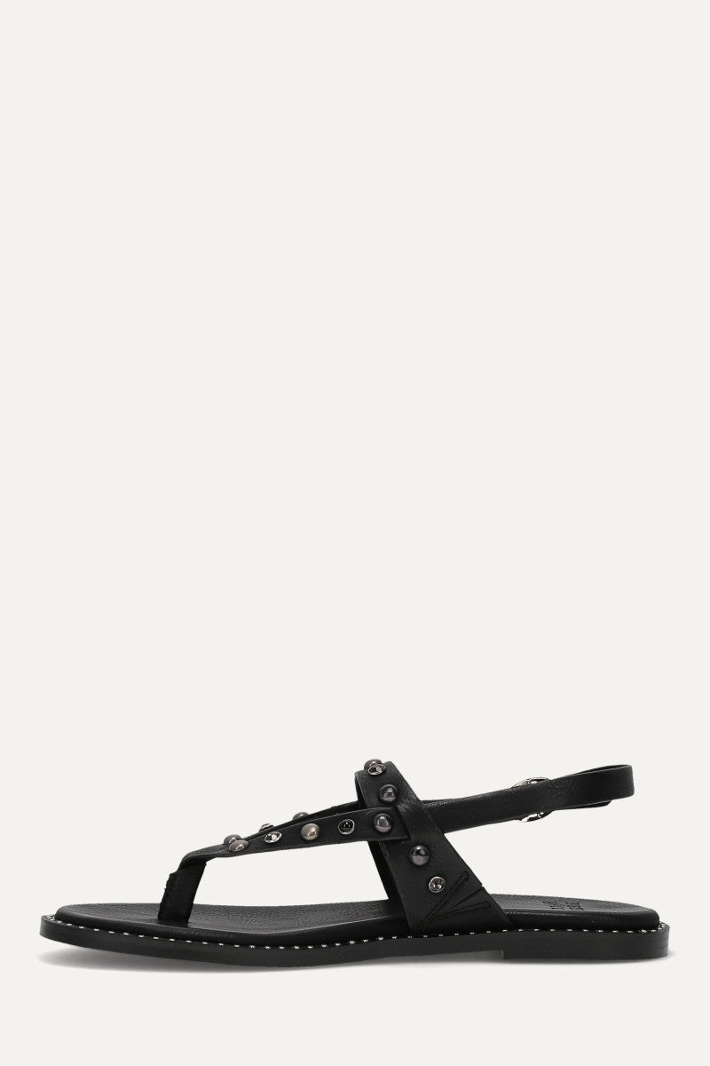 Bucky Studded Thong - Black - Inside