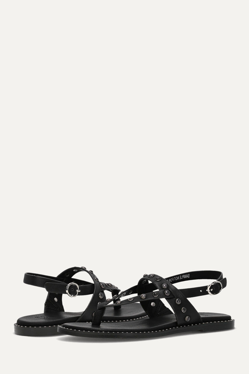Bucky Studded Thong - Black - Pair