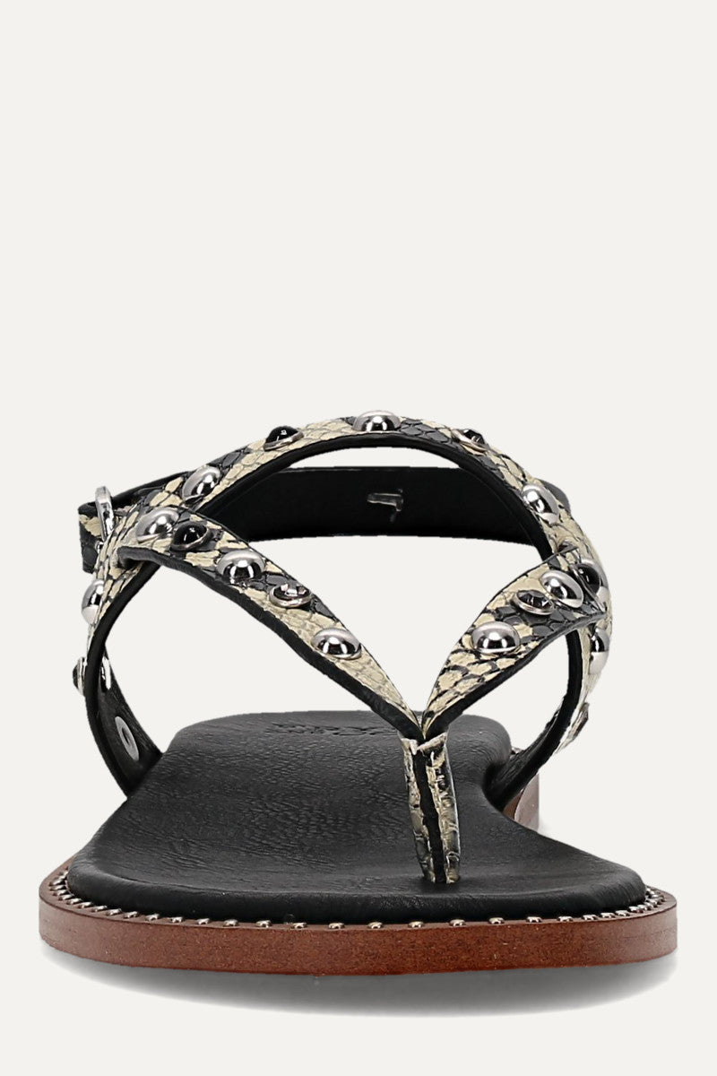 Bucky Studded Thong - Snake Emboss - Front
