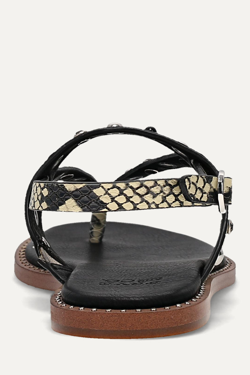 Bucky Studded Thong - Snake Emboss - Back