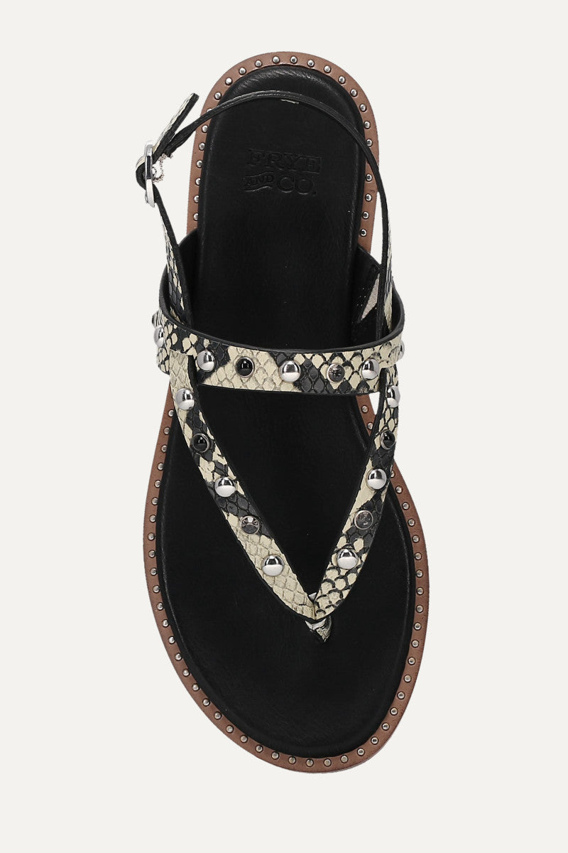 Bucky Studded Thong - Snake Emboss - Top Down