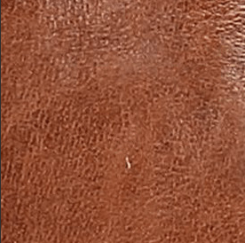 Chesnee Harness Short