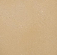 Elvie Double Prong Mary Jane