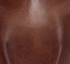 Roger Engineer Harness